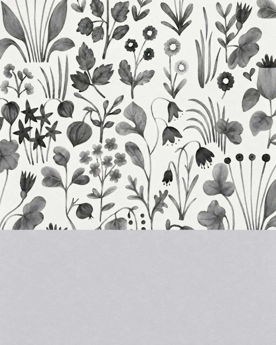 Devon&Devon Herbarium tapet i hvid & sort med boiserie-panel fra Style Office-kollektionen