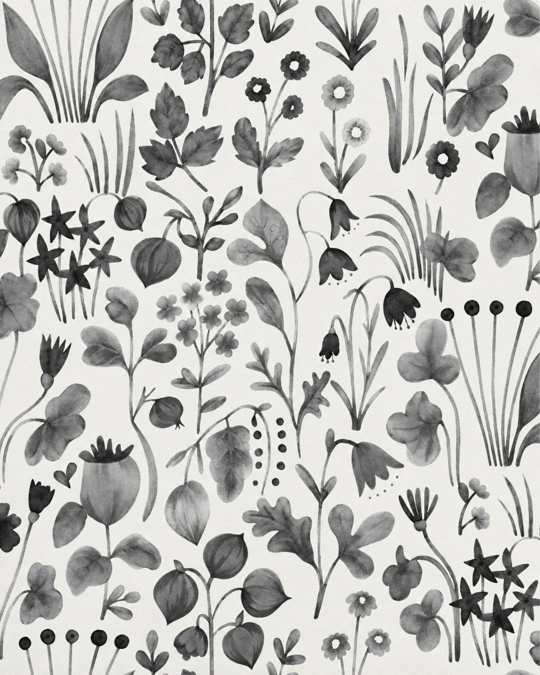 Devon&Devon Herbarium tapet i hvid & sort fra Style Office-kollektionen