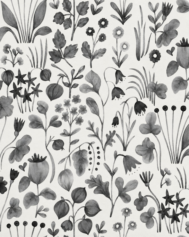 Devon&Devon Herbarium tapet i hvid & sort fra Style Office-kollektionen